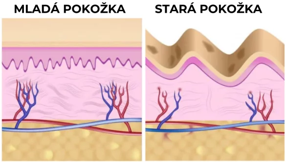 Anti-age balíček (s darčekom) – pre žiarivú a mladistvú pleť