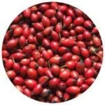 Collagen Premium Passion Total NEZNIZANO-HIDDEN