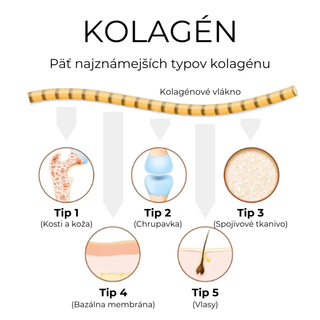 Collagen Pineapple (kolagén)