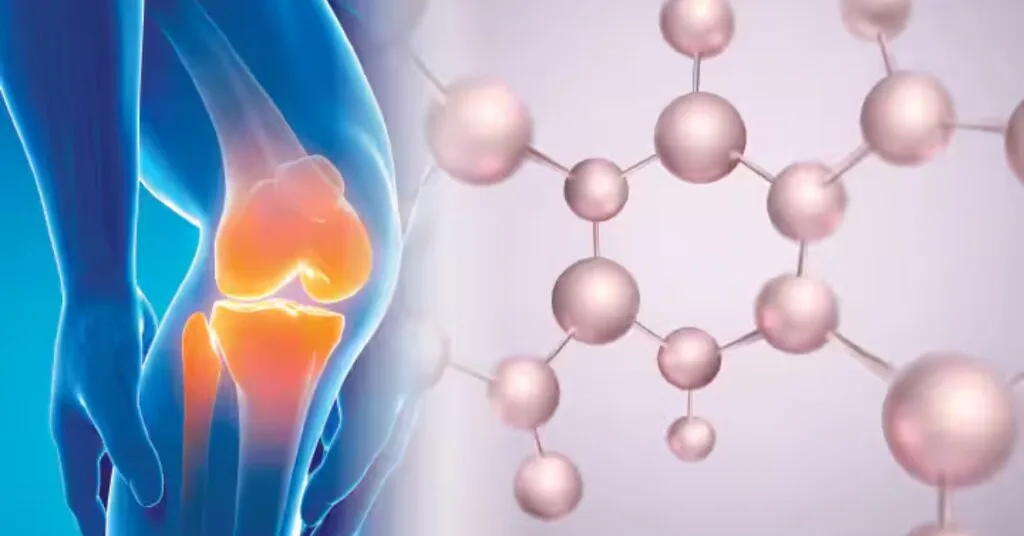 Collagen Powder Blend + Hyaluronic acid