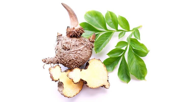 LPP-SLIMIS 2: Rýchle a jednoduché chudnutie s cukríkmi Slimis!