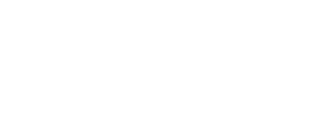 brand bmt q10 izcrpanost lp1