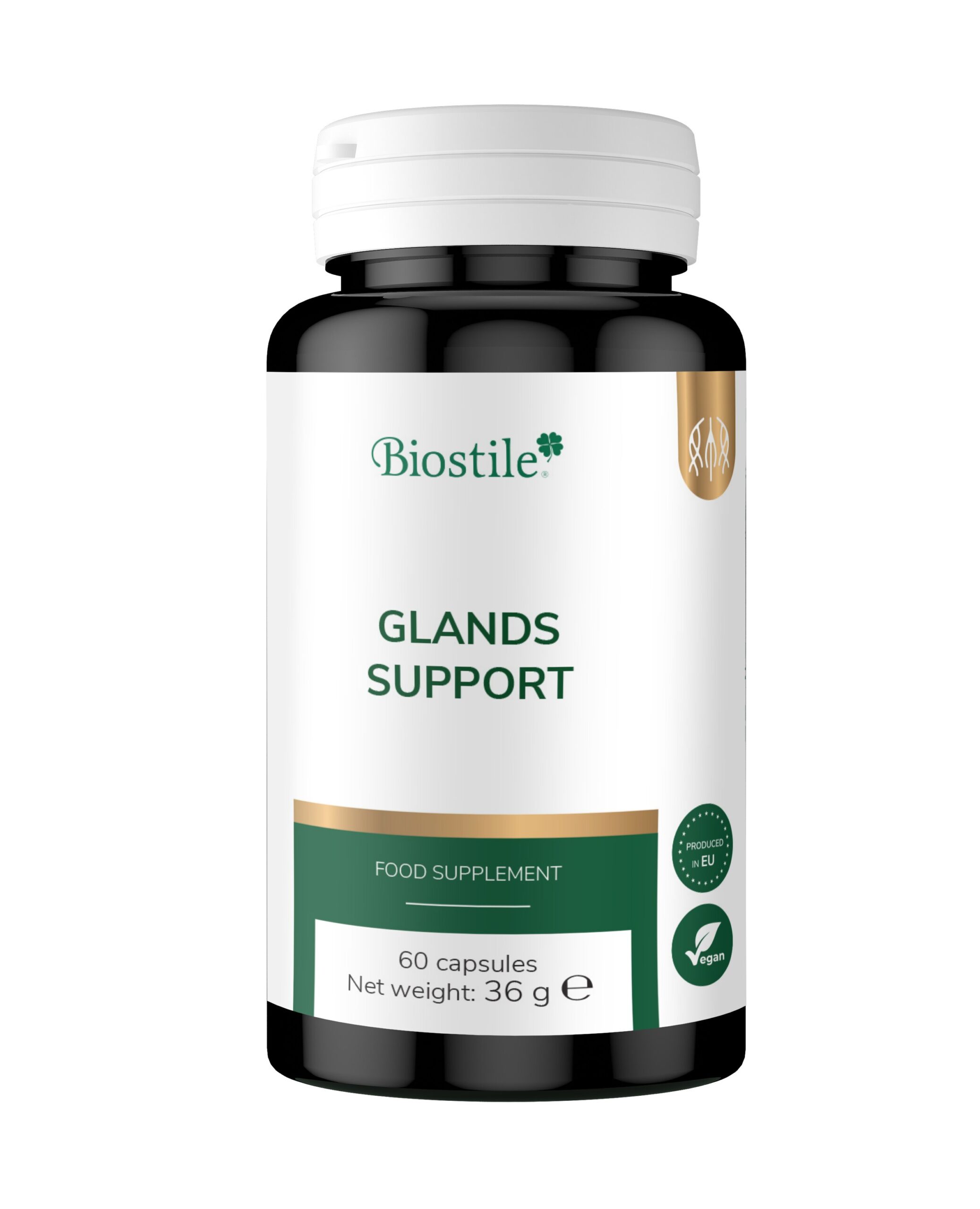 Glands Support