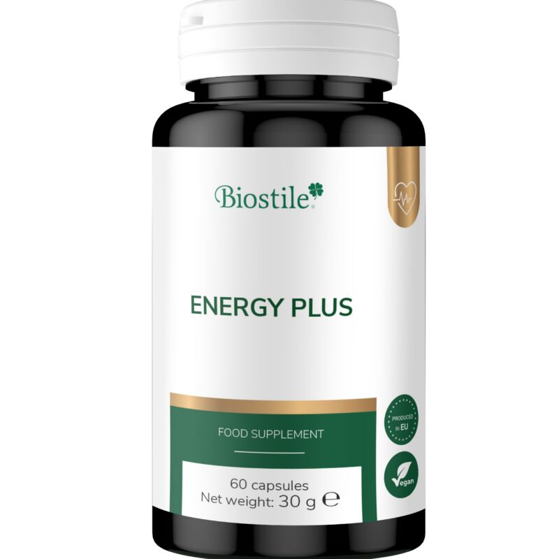 Energy Plus