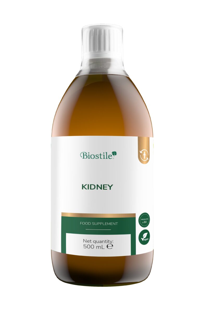 Kidney