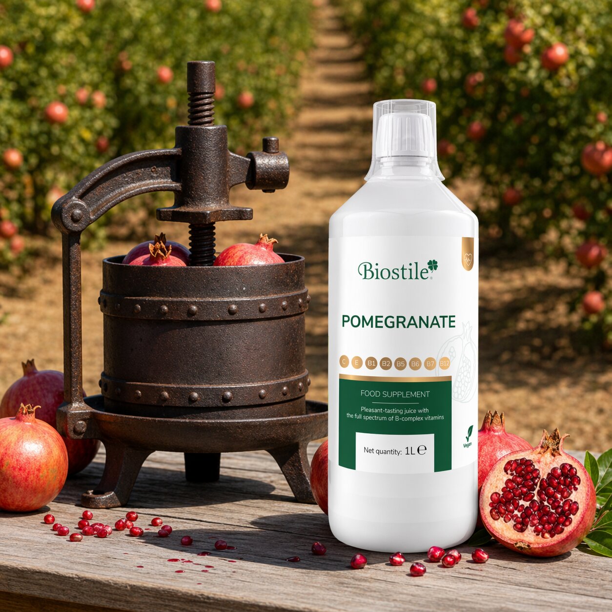 Pomegranate
