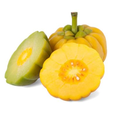 microshapper garcinia biostile